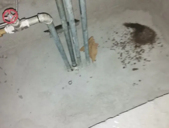 贺州卫生间测漏水价格明细