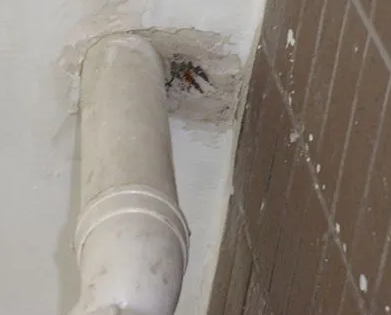 贺州漏水检测哪家好